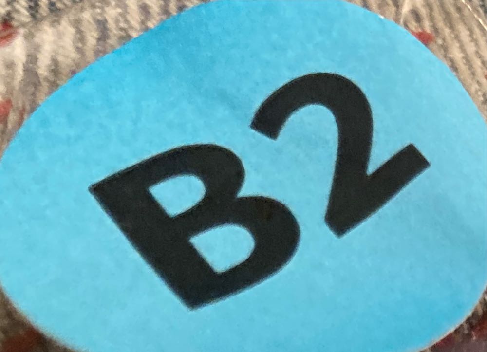 Buzz Lightyear Football Banner