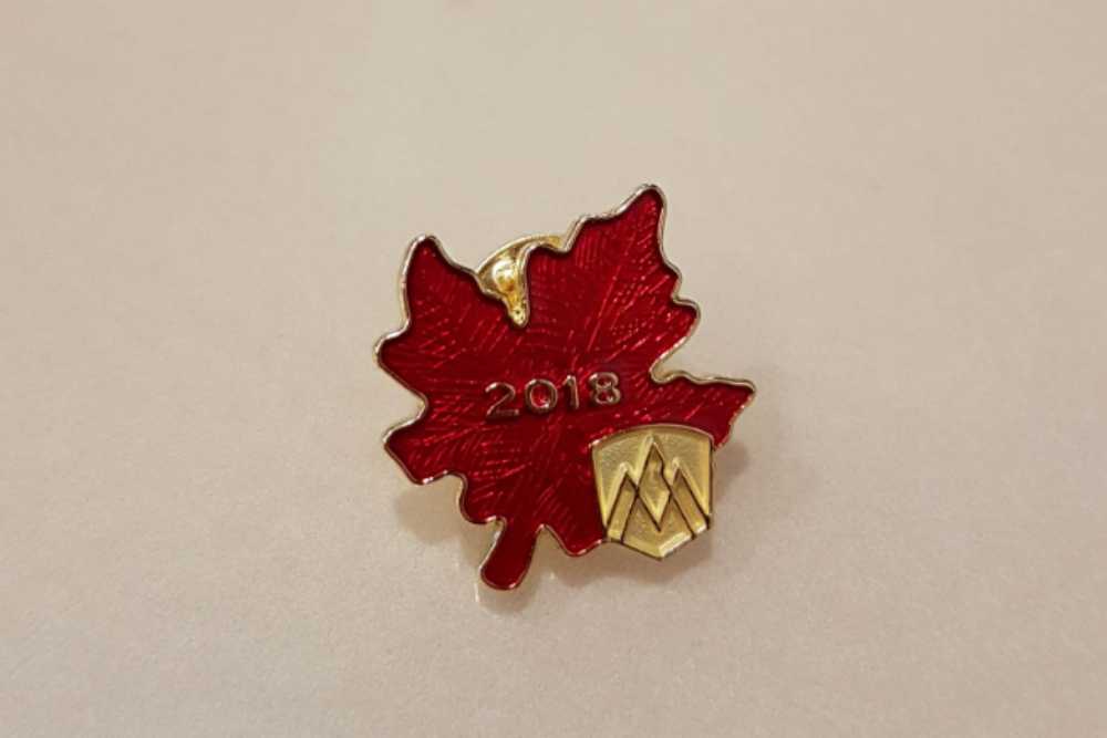 DLP 22Q3 POUPEE CENDRILLON OE