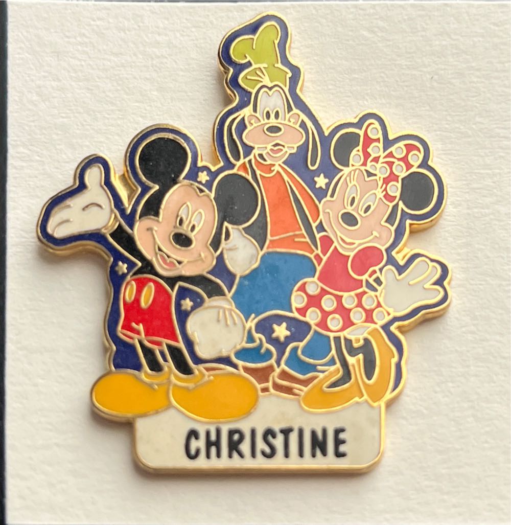 Walt Disney World - Amusement Park pin collectible - Main Image 1