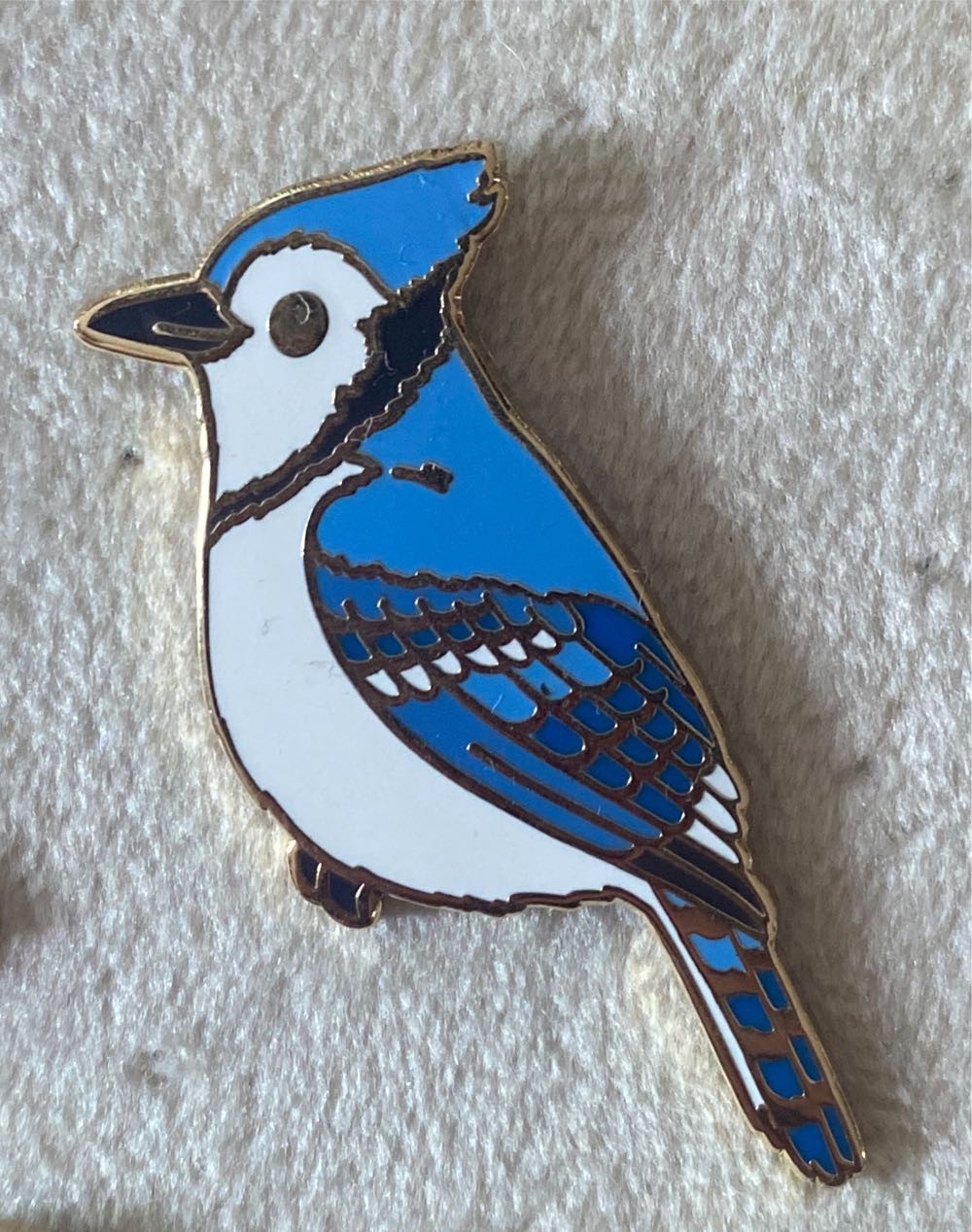 Animal Kingdom Asian Cat