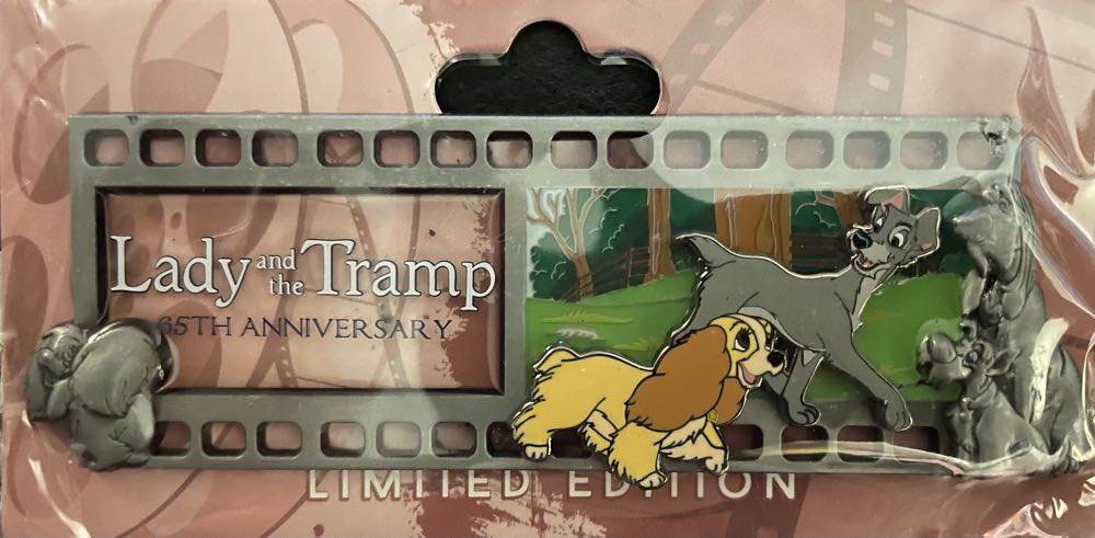 DLP PIN CHAPELIER OE