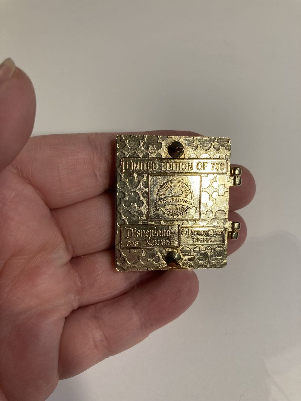 *  pin collectible - Main Image 4