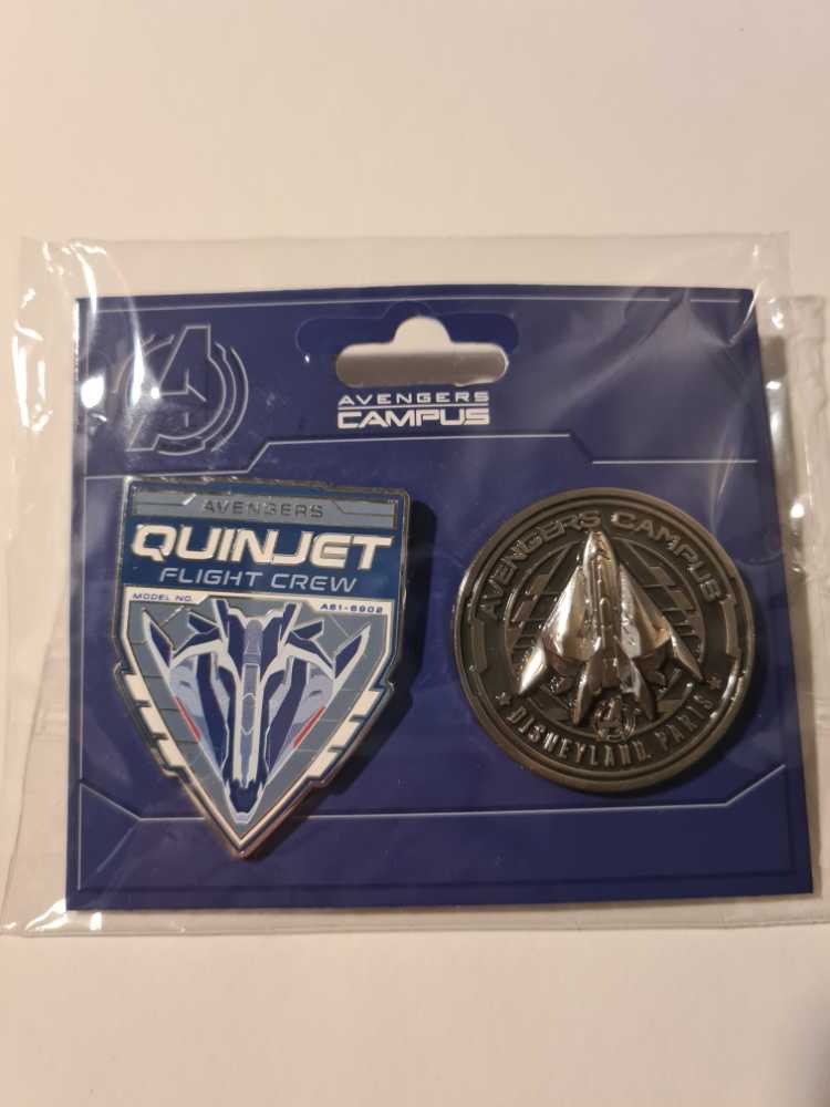 Disneyland Christmas Flower