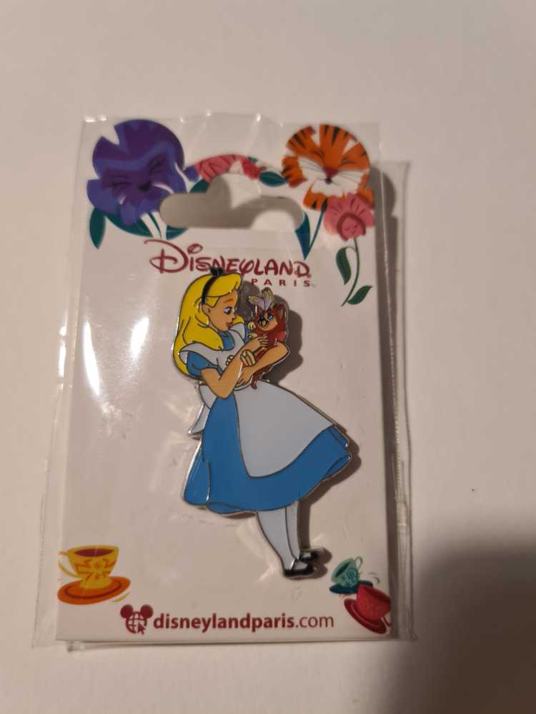 Donald Duck Inside Treasure Chest