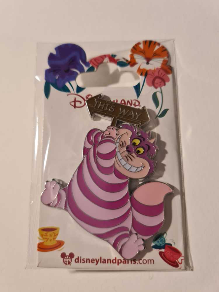 Chip N Dale Pirates Fair