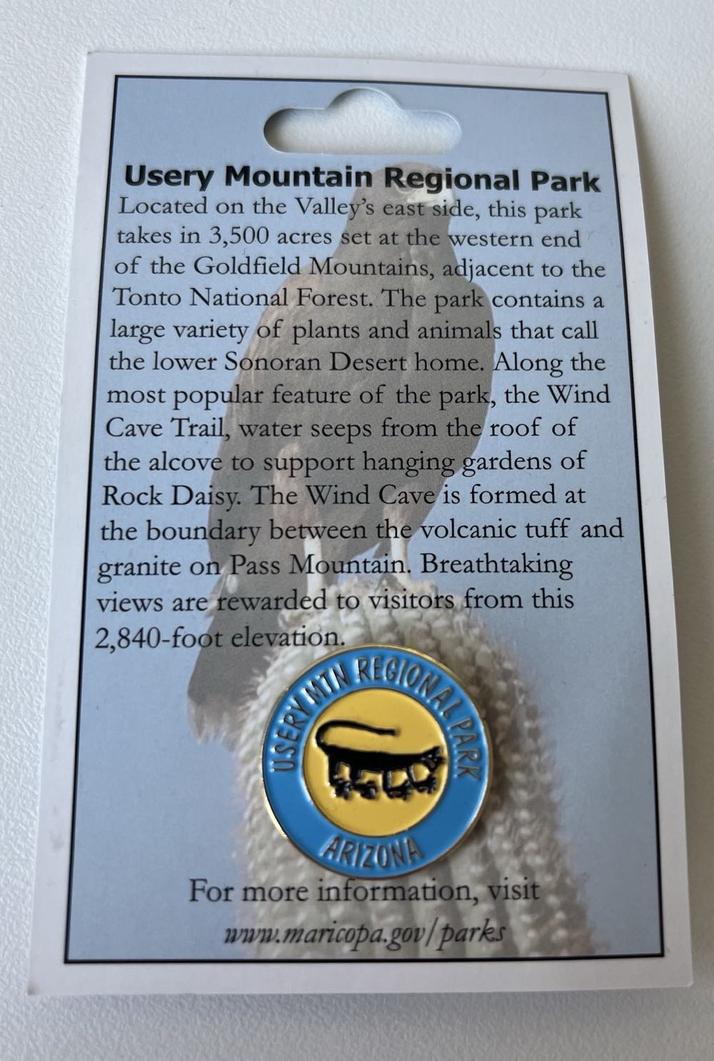 Usery Mtn Regional Park Arizona  pin collectible - Main Image 2