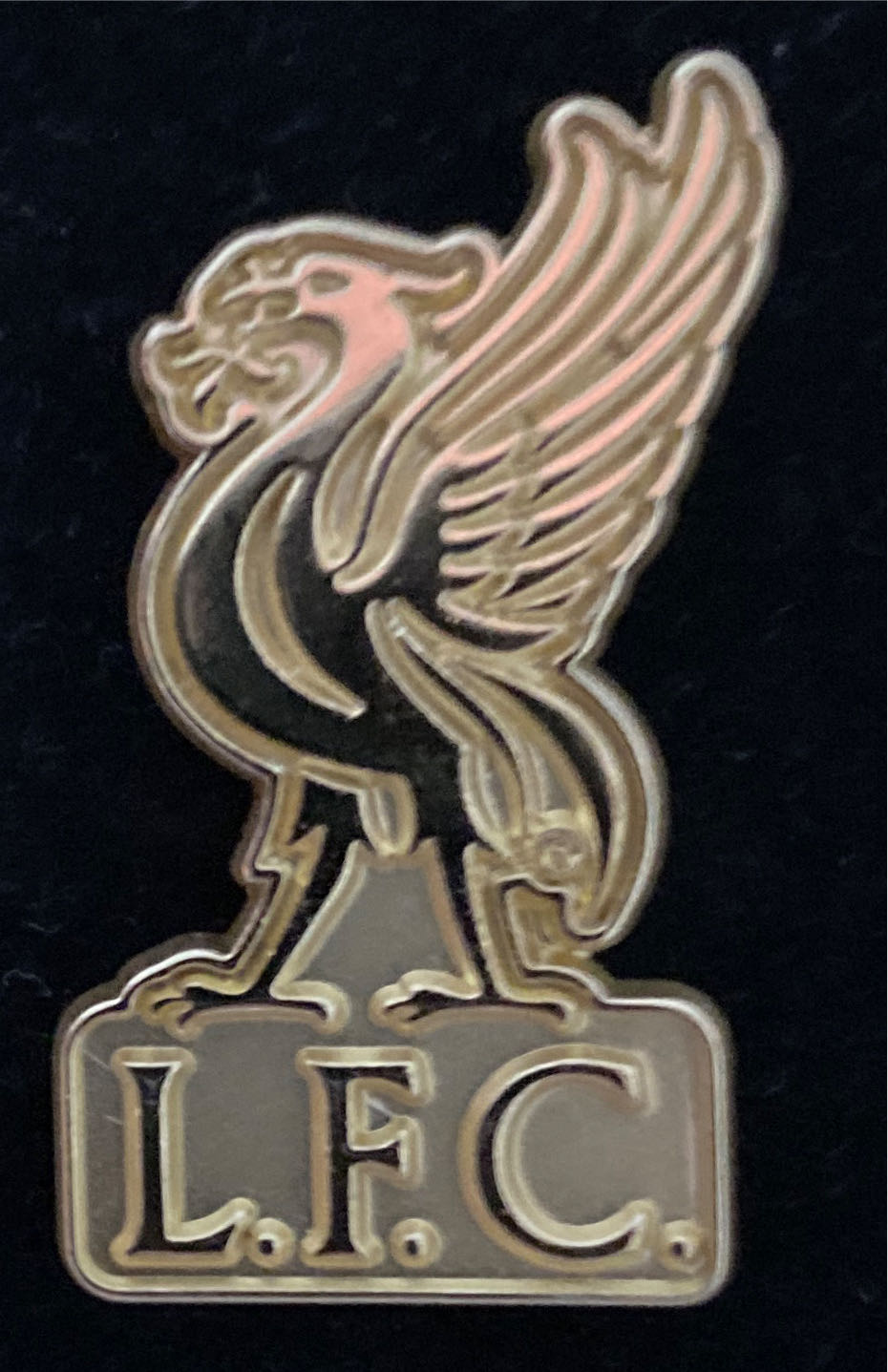 Flying And Surfing Pikachu