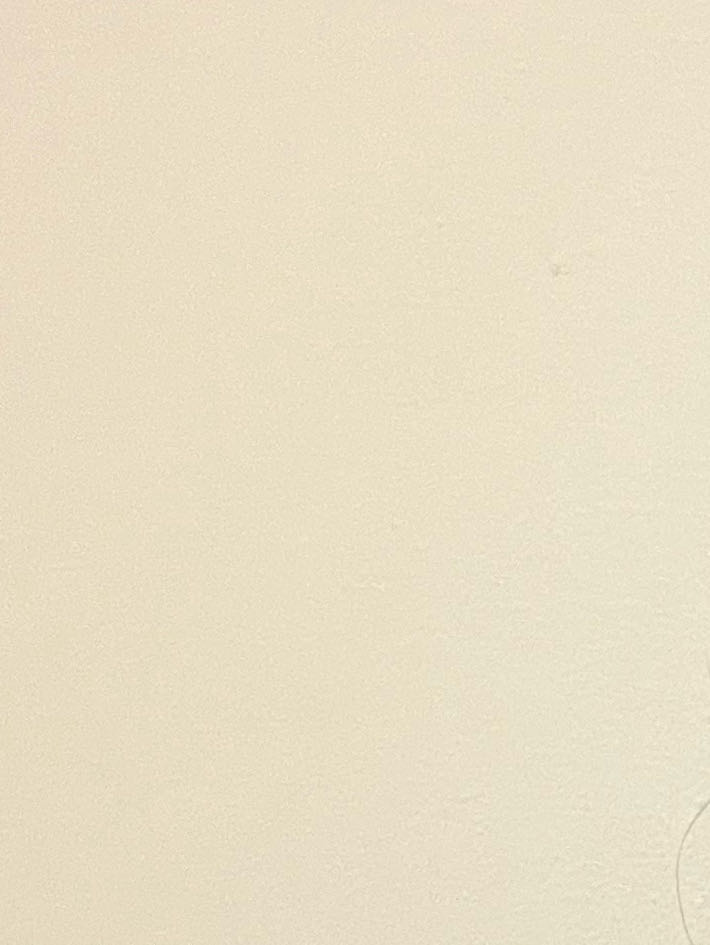 Disney Cheshire Cat And And