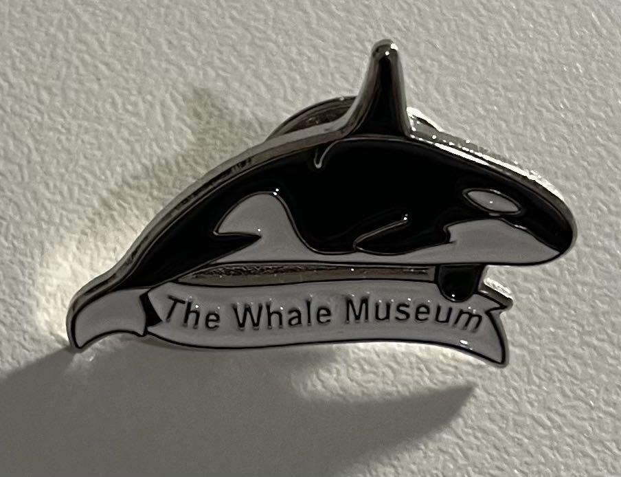 Pirates Of The Caribbean Walt Disney World