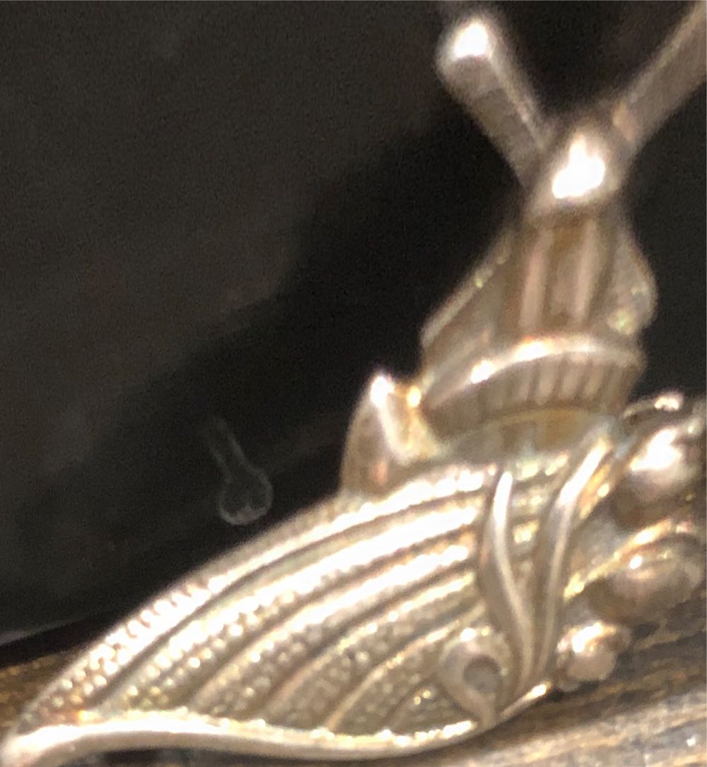 Moana - Moana & Poa - Animator Series