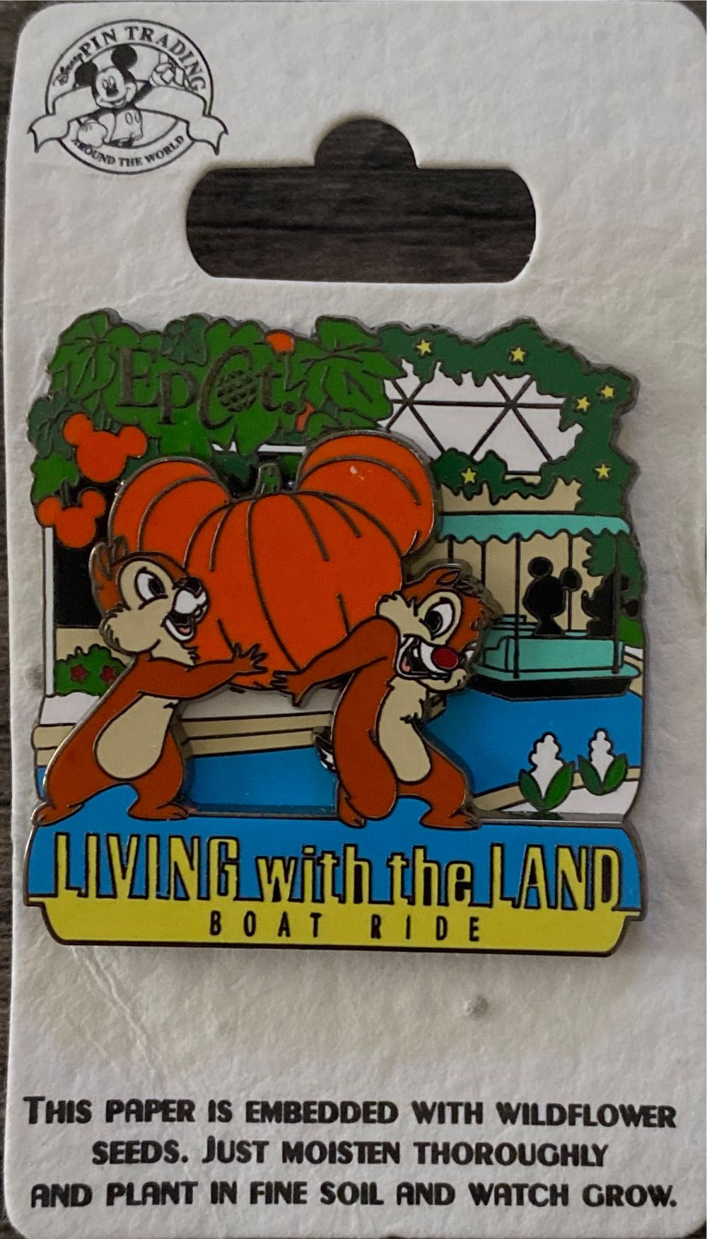 PolyPaige - Oyster (abalone)