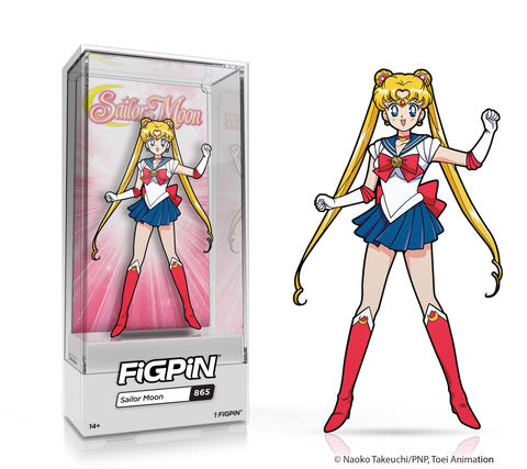 Ollivander’s Store Pin