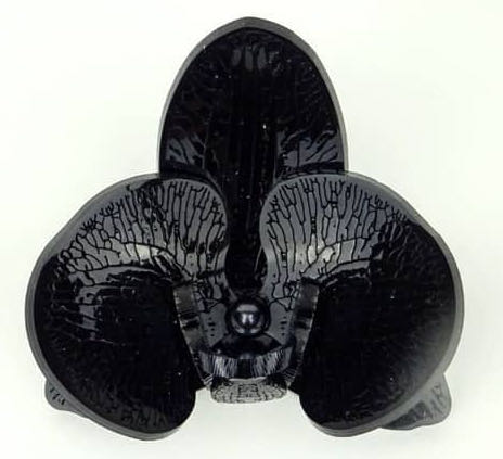 Deer Arrow - Kittens in Mittens