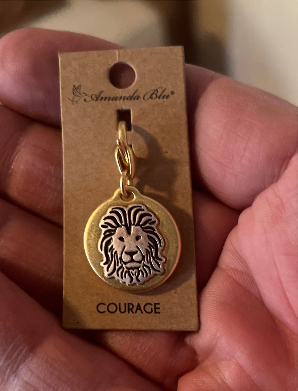 Courage Medalion  pin collectible - Main Image 3