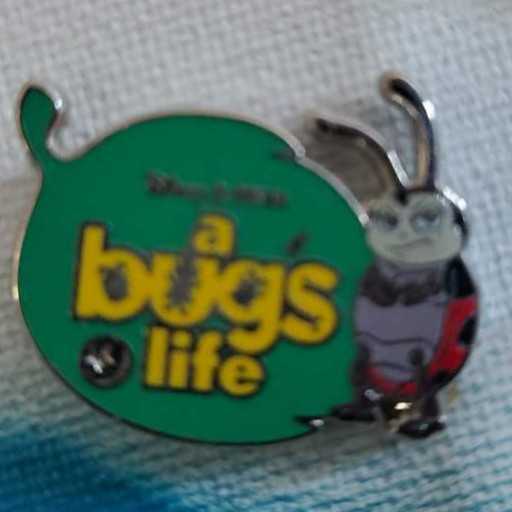 California Screaming