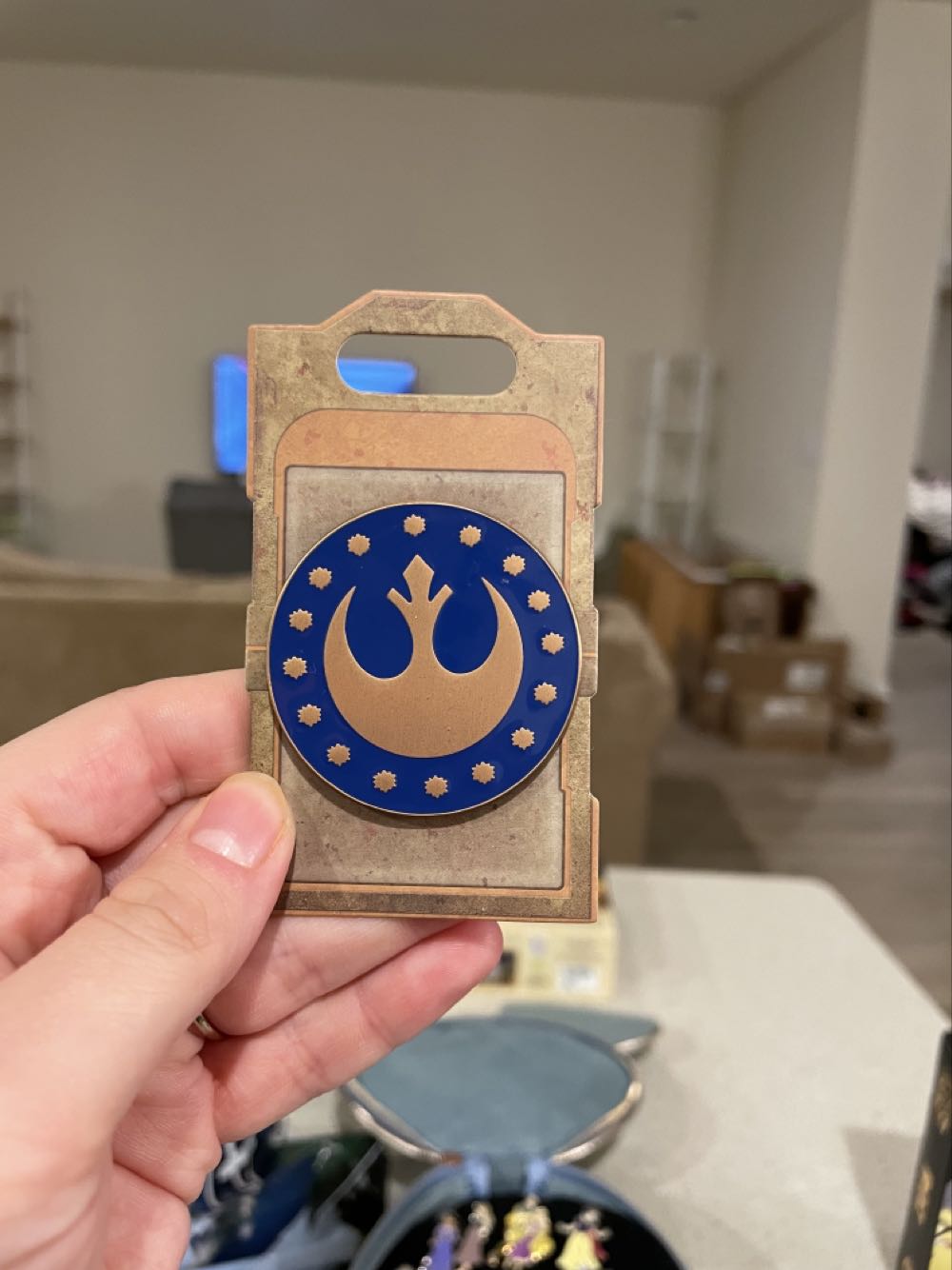 Animal Kingdom expedition Everest