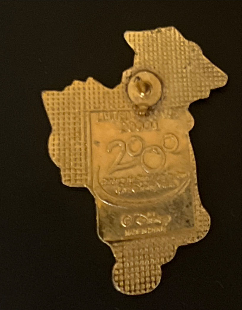 Winnie The Pooh - Graduation Gown  pin collectible - Main Image 2