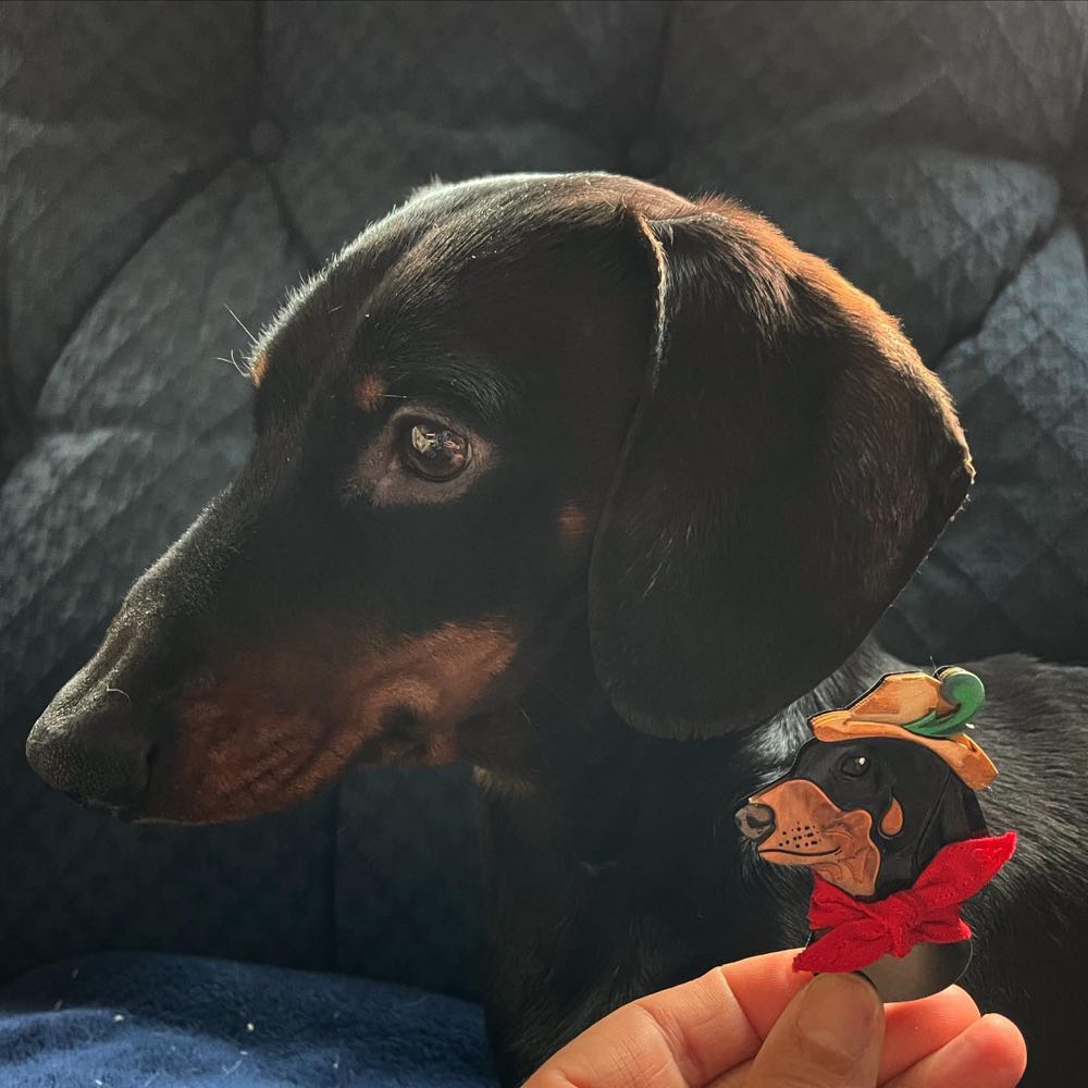 MukkaChunks - Magnus the Dachshund - Brooch pin collectible - Main Image 3