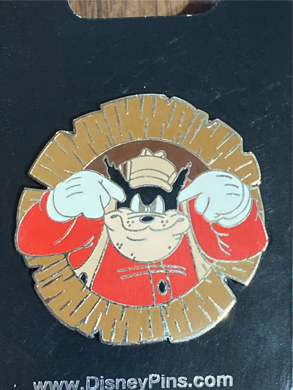 Disney Enchanted Limited Release Pin