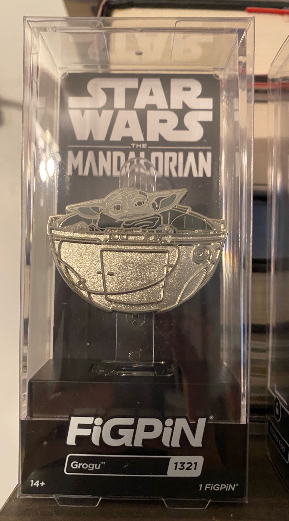 Ace Crow Wild Pride Pin Gay Breakfast