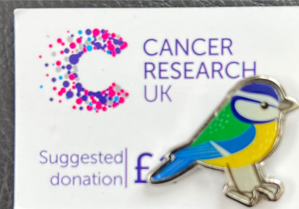 Avengers Earth’s Mightiest Heroes Video Game Pin Set