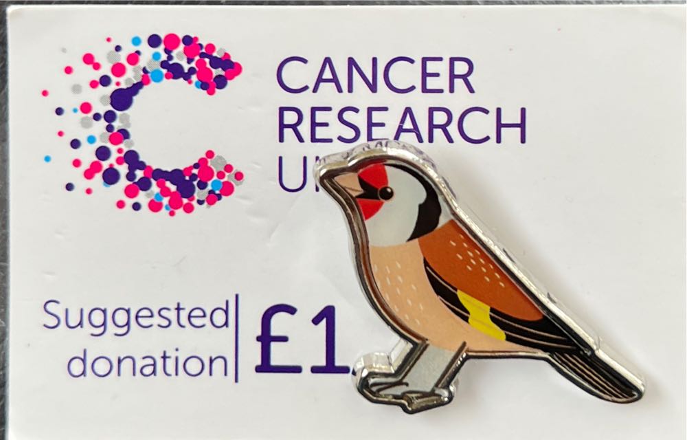 Universal Studios Pets Gidget ”yes I’m This Adorable” Pin New With Card