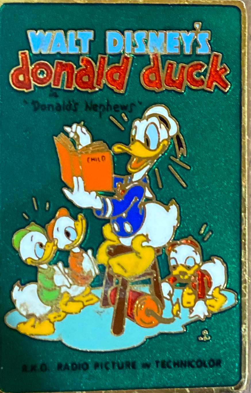 Non Binary Raccoon Wild Pride Pin Gay Breakfast