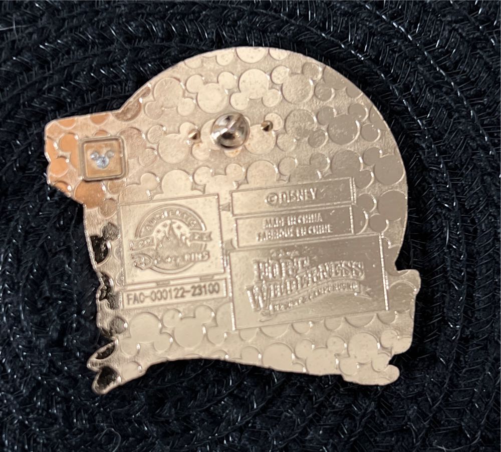 Chip N Dale Fort Wilderness Smores - WDW Resort pin collectible - Main Image 2