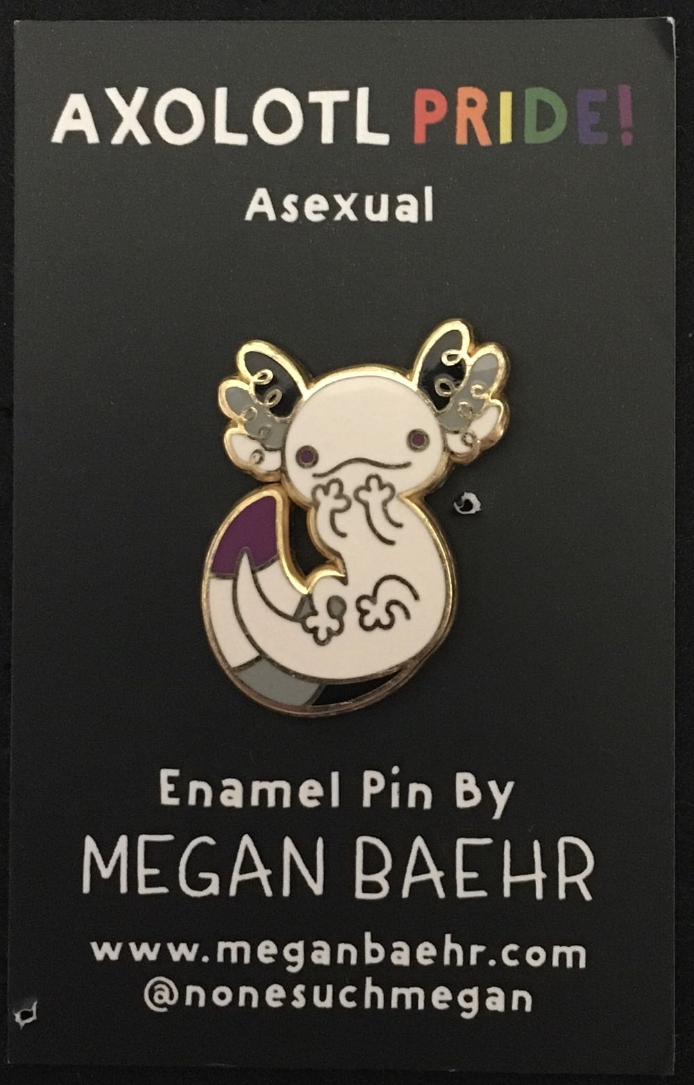 Asexual - Axolotl Pride Hard Enamel Lapel Pins By Megan Baehr - Gold Plated Hard Enamel pin collectible - Main Image 2
