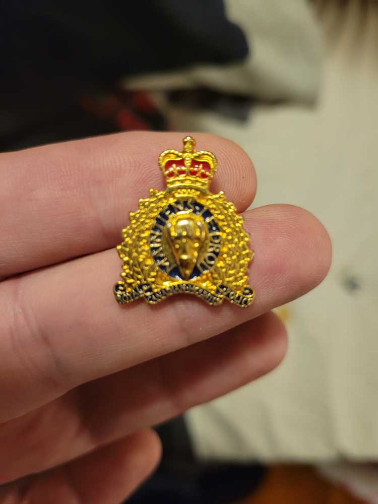 Donald Duck Character Egg 