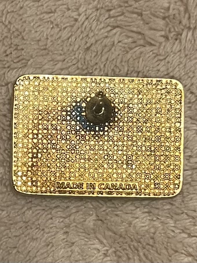 Colorado Springs: Garden of the Gods Visitors And Nature Center  pin collectible - Main Image 2