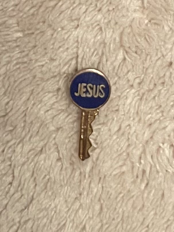 Coat Of The Lamb Pins