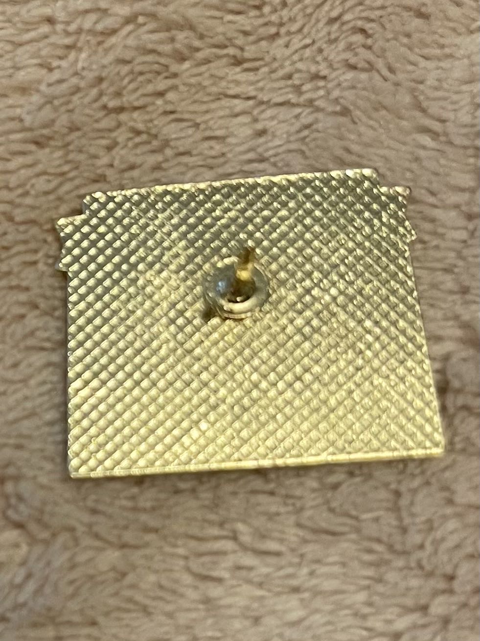 Colorado Sentinel State 1876  pin collectible - Main Image 2