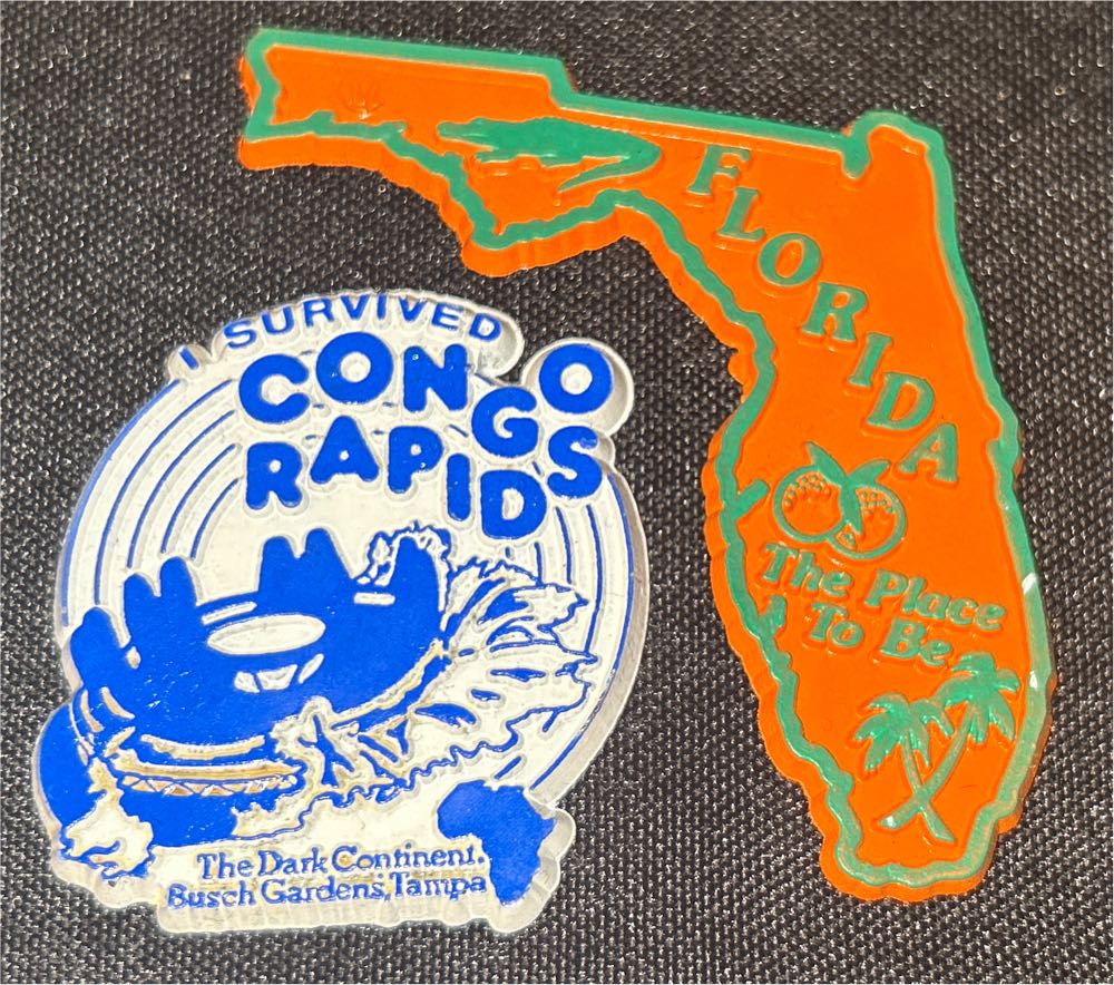 Destination: Tampa, FL  pin collectible - Main Image 3