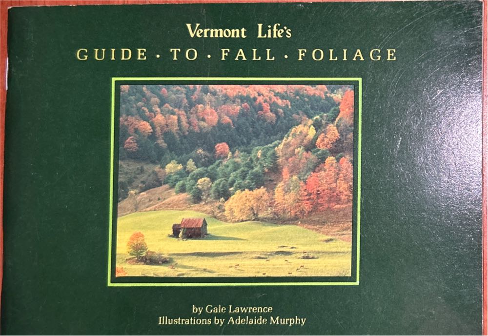 Destination: Middlebury, Vermont  pin collectible - Main Image 4