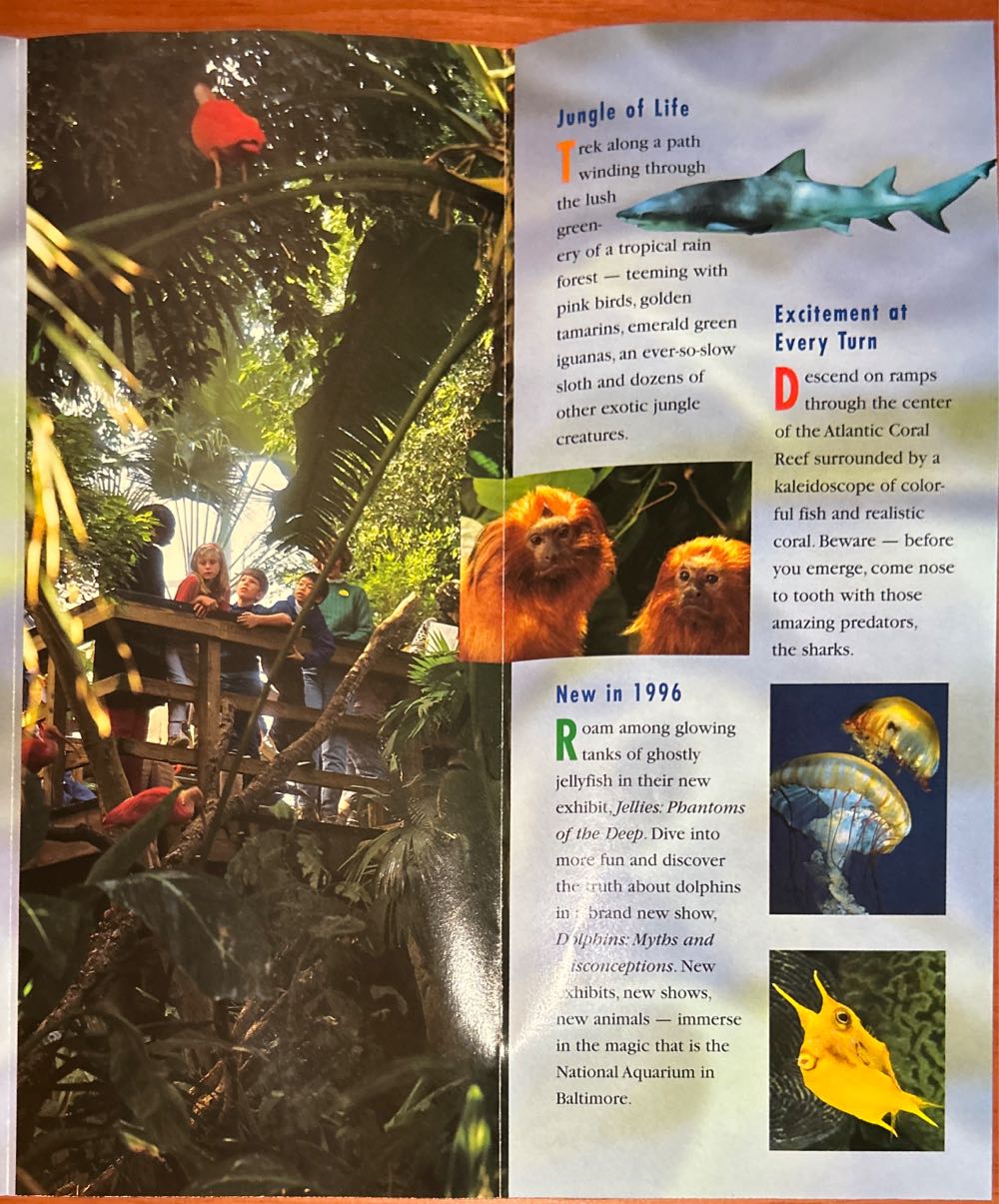 Destination: Baltimore; National Aquarium  pin collectible - Main Image 4