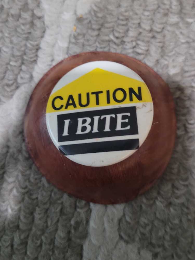 2023 Disney Riviera Christmas Stocking