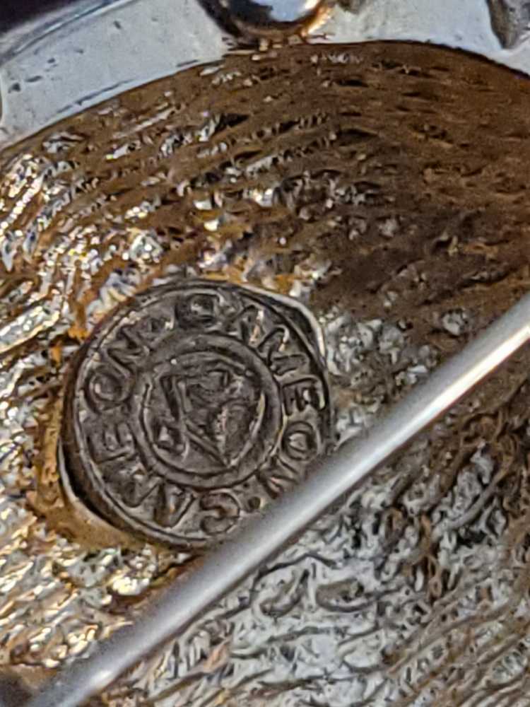 Bug  pin collectible - Main Image 3