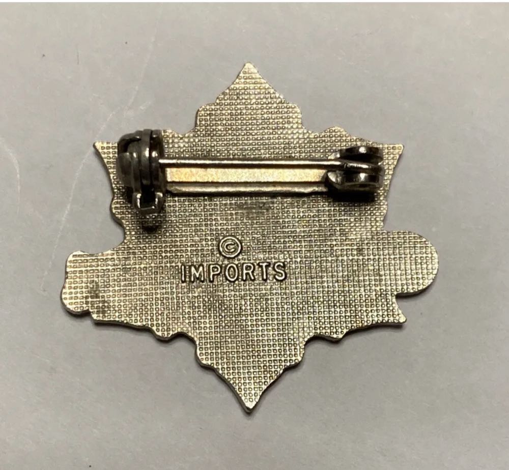 Ober Gatlinburg Ski Pin  pin collectible - Main Image 2