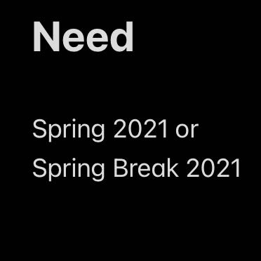 Lion King - The Musical 