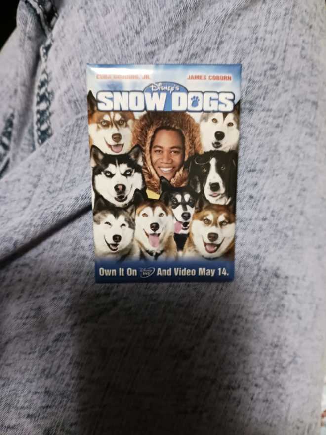 Coat Of The Lamb Pins