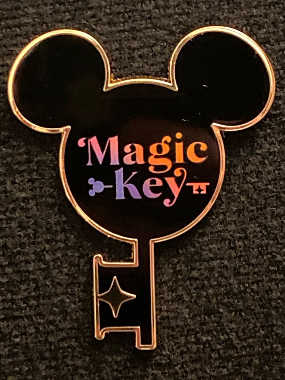 Coat Of The Lamb Pins