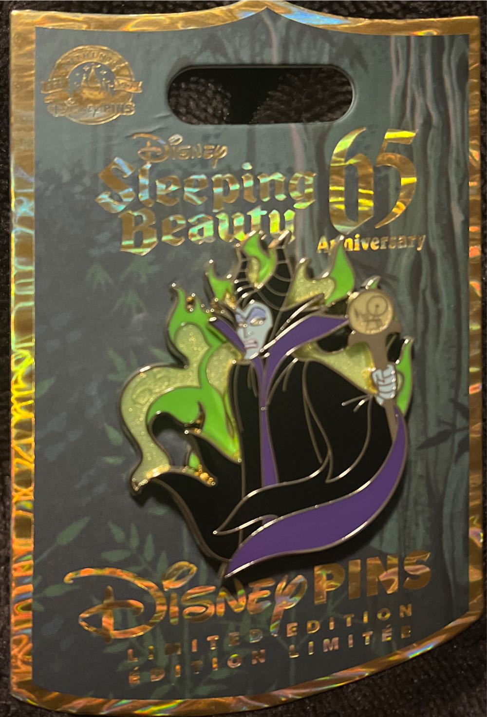 DCA - Soarin’ Over California Dangle