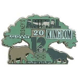 Succulent Cactus Purple Orange Pot