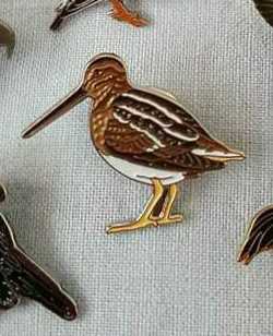 Freaky Friday Pinpics | Free Disney Pin Trading Database