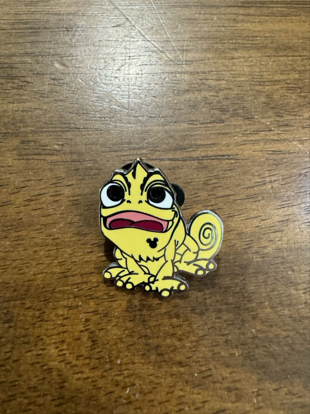 Rhododendron Species Botanical Garden