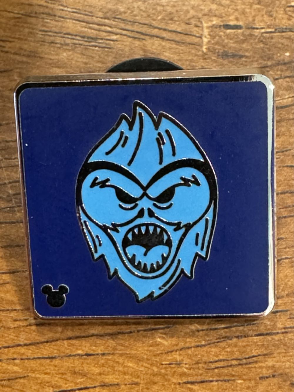 The Many Adventures Of Winnie The Pooh - The Gang 