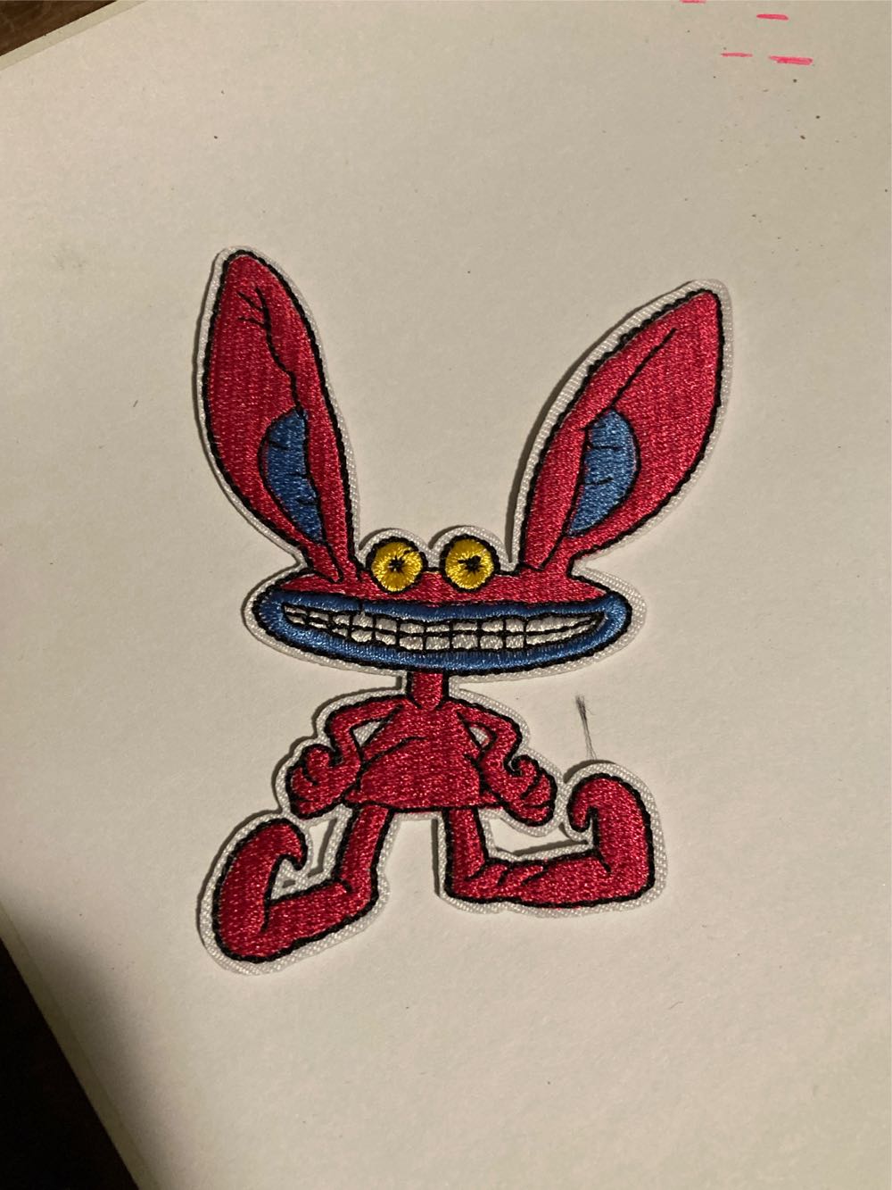 Tinker Bell Florida Tag