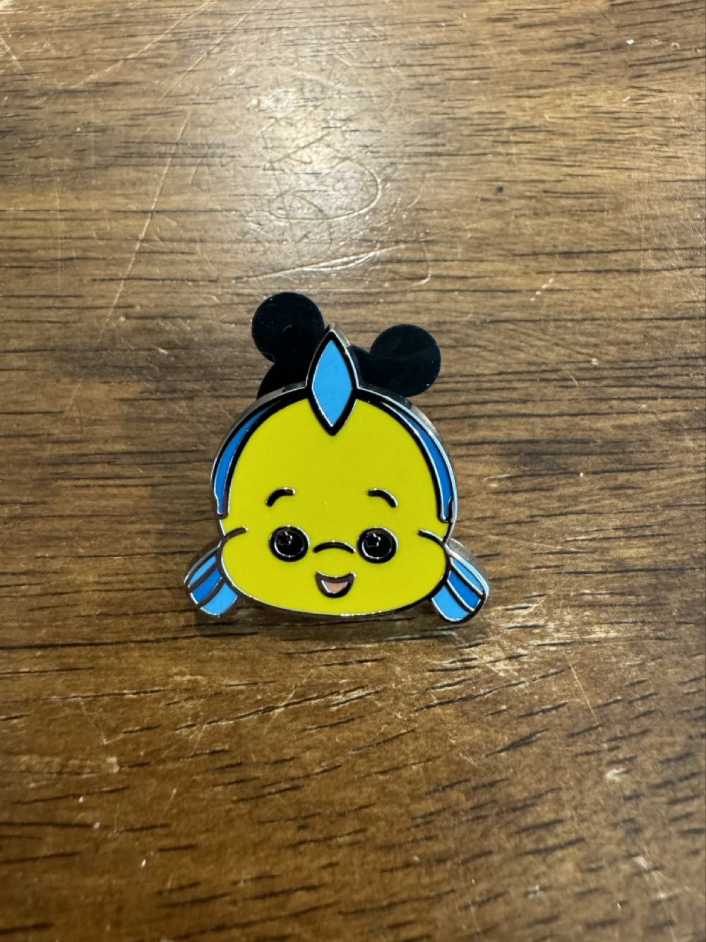 Southern Living Everyday Gardening