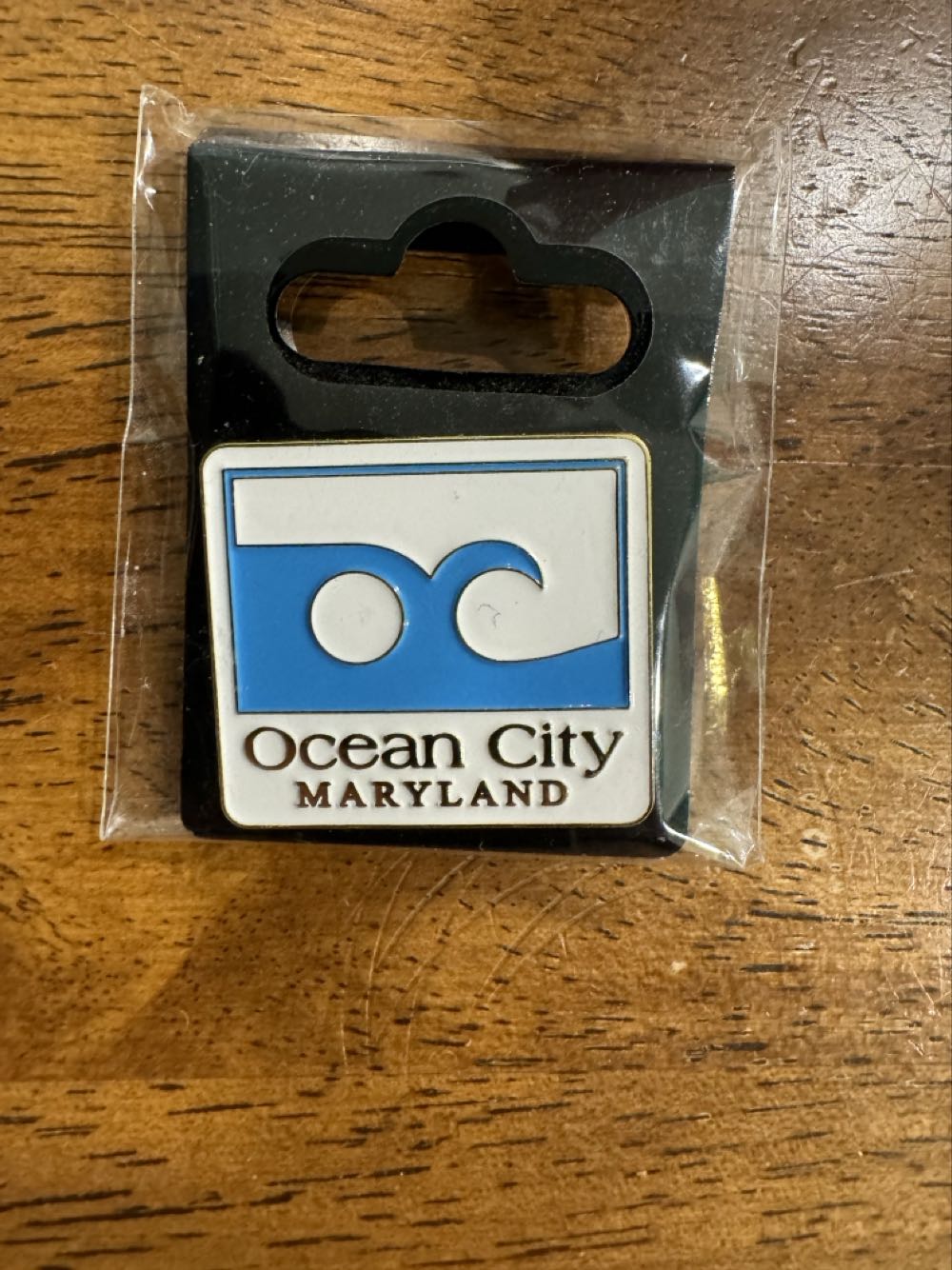 Pirates Of The Caribbean Skeleton Parrot